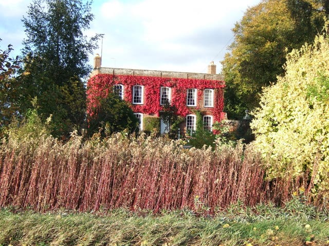 Fixed vs Variable Rate Mortgages: Which Should You Choose in 2026?